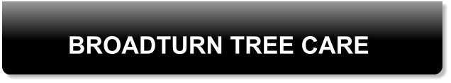 BROADTURN TREE CARE